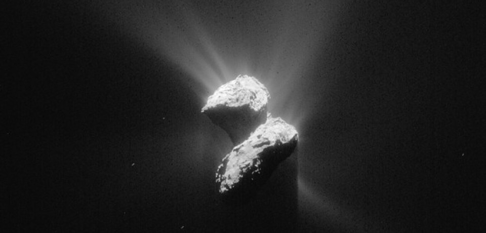 Cometa estudado por missão Rosetta teria microrganismos na superfície