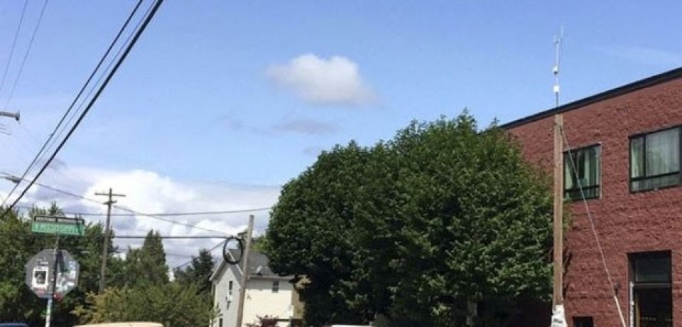 Mistério de brinquedos sexuais pendurados em fios intriga moradores de Portland