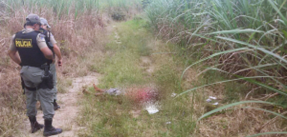 Corpo de homem é encontrado na zona rural de Vitória