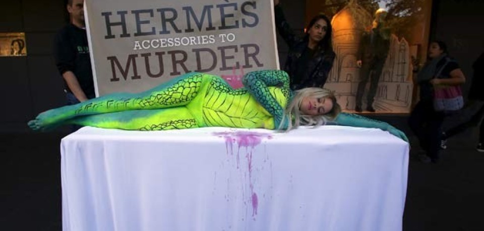 Modelo protesta na Austrália contra uso de pele de crocodilo em bolsas