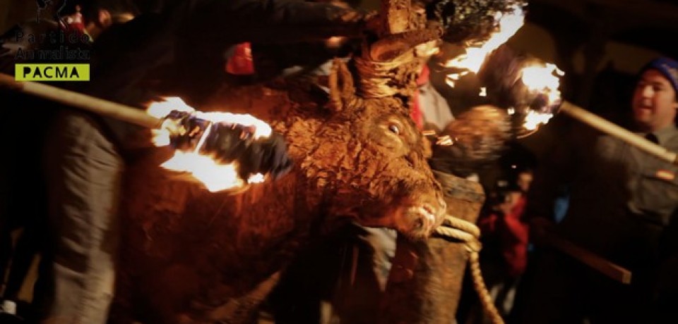 Turismo turbina corrida de touros e gera mortes na Espanha