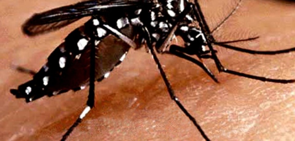 Emlurb faz mutirão em área no Recife com mais de 2.700 focos de dengue