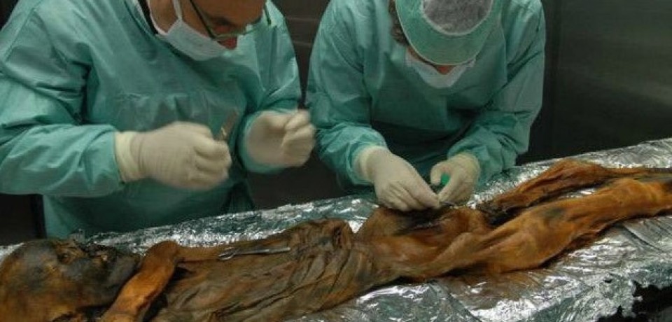 Bactéria encontrada em múmia de 5,3 anos dá pistas sobre migração humana