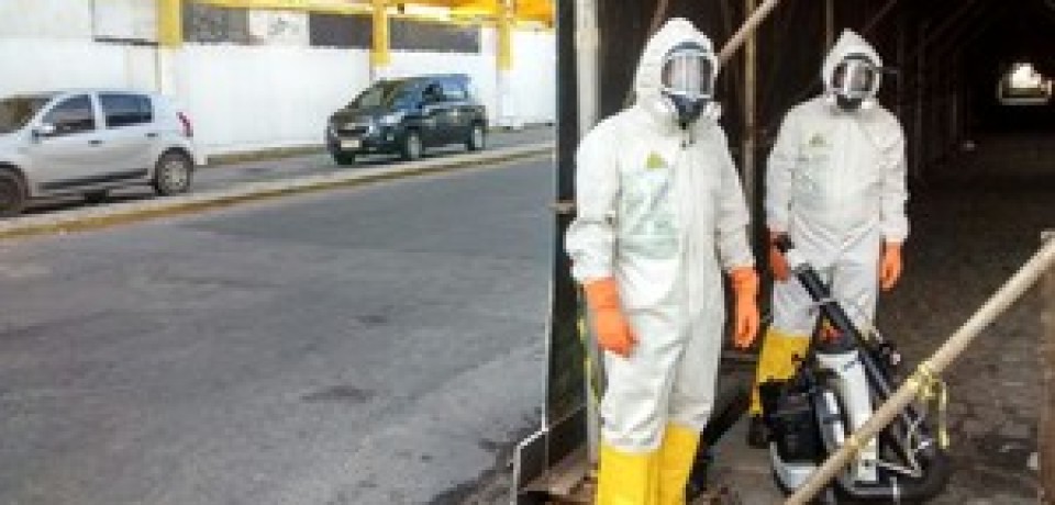 Percurso do Galo da Madrugada tem reforço no combate ao Aedes Aegypti