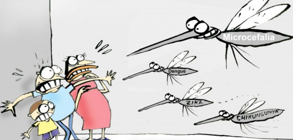 Mil novos casos de arboviroses em uma semana