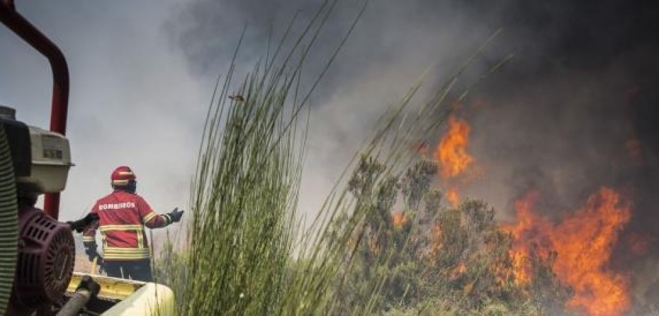 Terror: polícia relata o incêndio arrepiante junto ao centro do FC Porto e choca Portugal