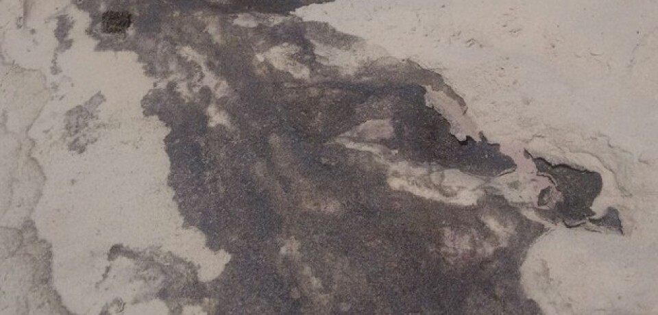 Moradores denunciam manchas escuras e mau cheiro em praia de PE